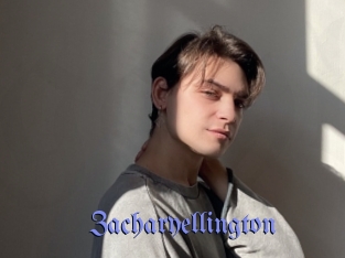 zacharyellington Gay Buzz