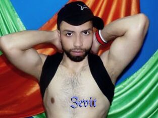 Zevit